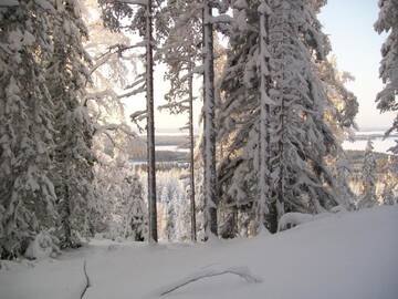 Фото номера Шале с 3 спальнями Шале Lake Cottage Jänisvaara г. Колинкюла 50